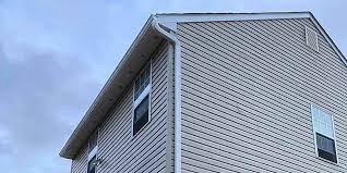 Best Custom Trim and Detailing for Siding  in Opp, AL